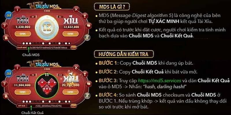 Hướng dẫn luật chơi cơ bản của tài xỉu MD5